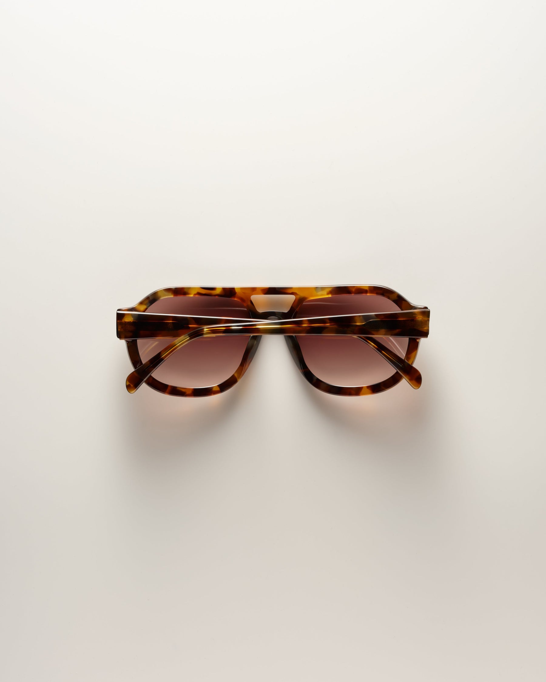 Phoenix - Tort/Mocha